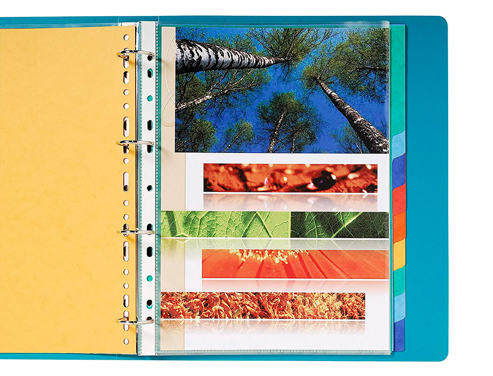 INTERCALAIRE Q-CONNECT CARTE LUSTRÉE 225G 12 POSITIONS A4 210X297MM